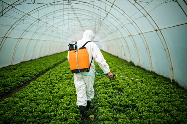 Best Best Pest Control Companies  in Alton, IL