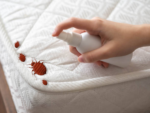 Best Cockroach Control Services  in Alton, IL