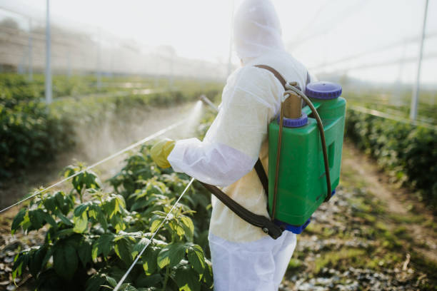 Best Ant Control Services  in Alton, IL